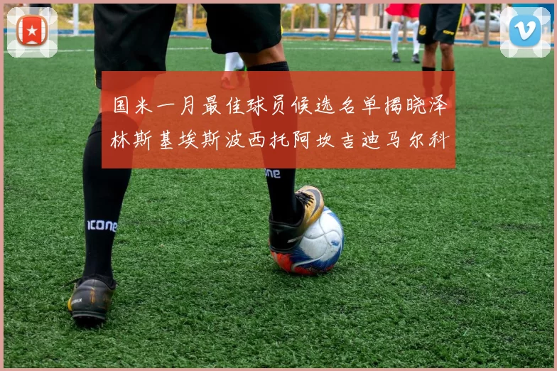 国米一月最佳球员候选名单揭晓泽林斯基埃斯波西托阿坎吉迪马尔科争夺荣誉